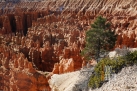 USA_UT_Bryce Canyon NP (06)